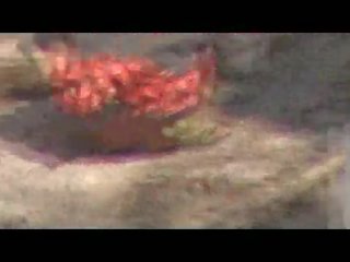 Скрит камера mov на индийски леля правене урина outdo